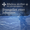 Evangeliet etter Johannes: Bibel2011 - Bibelens skrifter 43 - Det Nye Testamentet - KABB