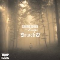 Snacks (feat. Brooklynn) - Single - Pyramid Scheme