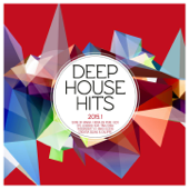 Deep House Hits 2015.1 - Various Artists