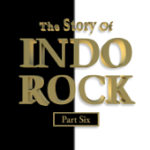 The Story of Indo Rock, Vol. 6 - Vários intérpretes