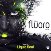Full On Fluoro, Vol. 4 (Mixed by Liquid Soul) artwork