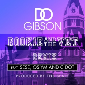 Rookie and the Vet (feat. Sese, C-Dot & Osiym) [Remix] D.O. Gibson