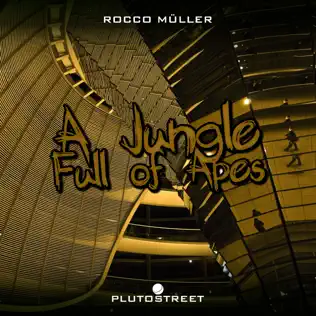 ladda ner album Download Rocco Müller - A Jungle Full Of Apes album