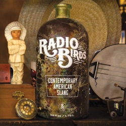 Radio Birds - Hold on Me