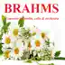 Brahms - Concerto for violin, cello & orchestra album cover