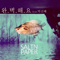 PERFECT (feat. 박신혜) - Single - SALTNPAPER