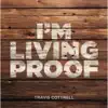 Travis Cottrell - Man of Sorrows