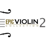 Violinkonzert E-Moll, Op. 64, MWV O14 : II. Andante - Allegro Non Troppo artwork