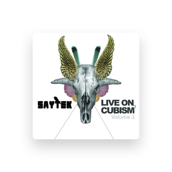 Saytek's avatar
