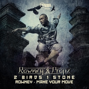2 Birds 1 Stone / Make Your Move - Single