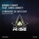 Symphony of Mystery Dreamy Darker Remix feat Chris Arnott Single