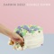 Bag of Tricks - Darwin Deez lyrics