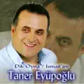 DIK OYNA