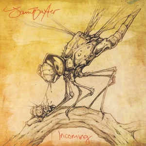 Incoming - Single