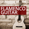 Flamenco Guitar - Spanish Guitar