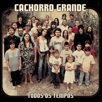 Cachorro Grande - Roda-Gigante