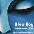 Remember Me (Hoxton Whores Remix)