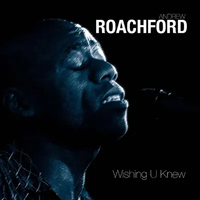 Wishing You Knew - Single - Roachford