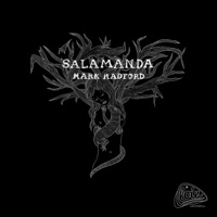 Salamanda - Single - Mark Radford