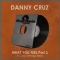 What You Feel (Joey Chicago Remix)
