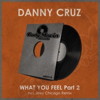 What You Feel, Pt. 2 - Single - Danny Cruz