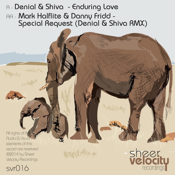 Enduring Love / Special Request (Remix) - Single