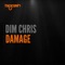 Damage - Dim Chris lyrics