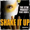 Shake It Up (Radio Edit)