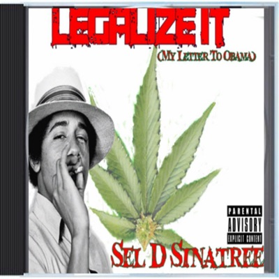 Legalize It (My Letter To Obama​)​E
