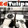 Ed Tulipa
