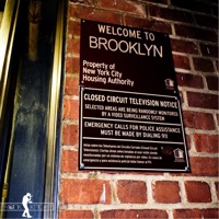Welcome to Brooklyn - Single - Frank Knight