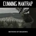 Motions of Shadows