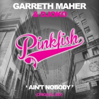 Ain't Nobody - Single - Garreth Maher & Djoko