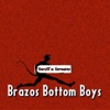 Brazos Bottom Boys