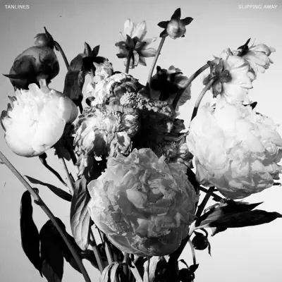 Slipping Away - Single - Tanlines