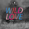 Wild Love (Live) - Morning Star