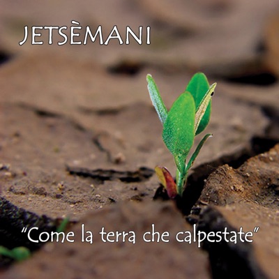 Come la terra che calpestate (feat. Cecilia Silveri & Nicola Alesini)