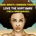 Love The Hurt Away (DJ Spen Remix)