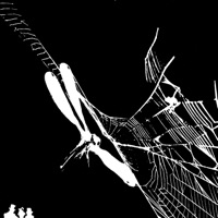 Closer Examination - Single - John Haden