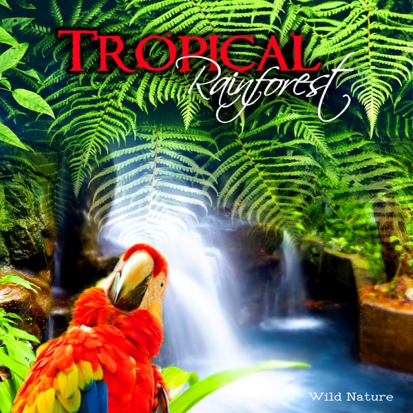 Tropical Rainforest – Wild Nature Music Collection