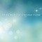 Diving with Whales - Robin Mahler lyrics