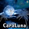 La Planta - Covers Rock lyrics