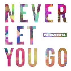 Rudimental - Never Let You Go