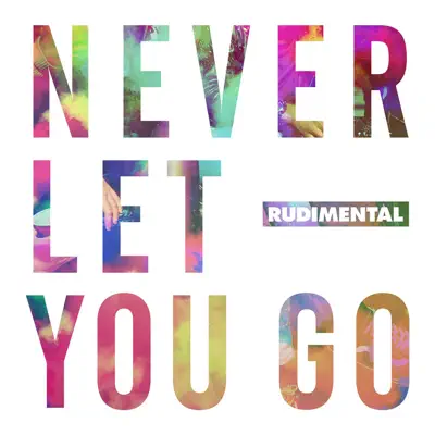 Never Let You Go - Single - Rudimental