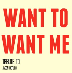 Want To Want Me (In the Style of Jason Derulo) [Karaoke Version]