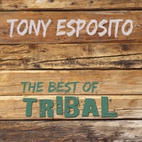 The Best of Tribal - Tony Esposito