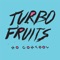 The Way I Want You - Turbo Fruits lyrics