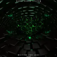 Waiting For Love (Technoposse Remix Edit) — Dirty Sound System