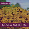 Música Ambiental (Volumen 4) - The Sunshine Orchestra