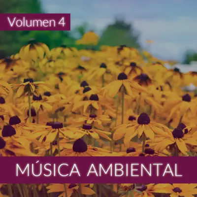 Ascolta 'Música Ambiental (Volumen 4)' di The Sunshine Orchestra